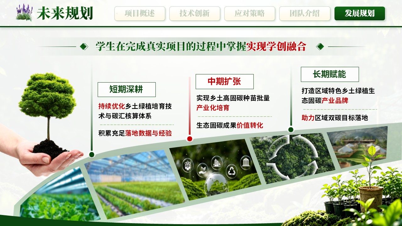 《绿植培育，生态固碳》大创赛第11页预览图