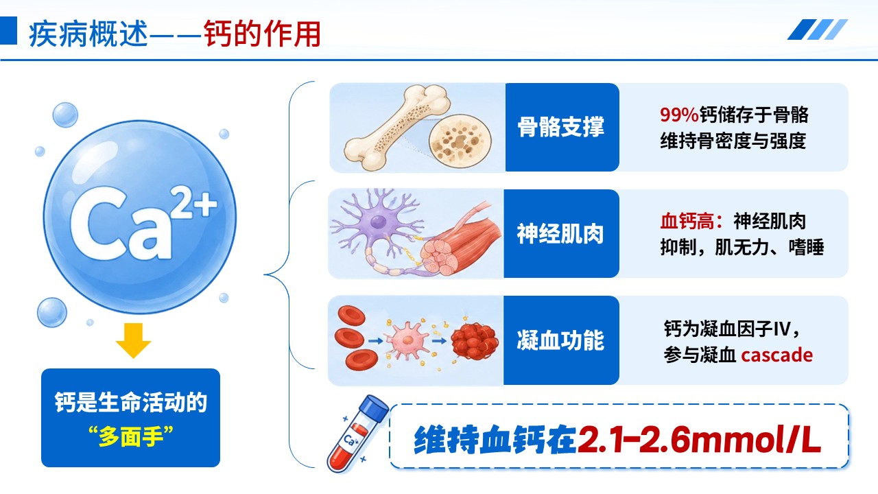 409期-护理说课-骨骼溢出的粘合剂高钙血症患者护理第7页预览