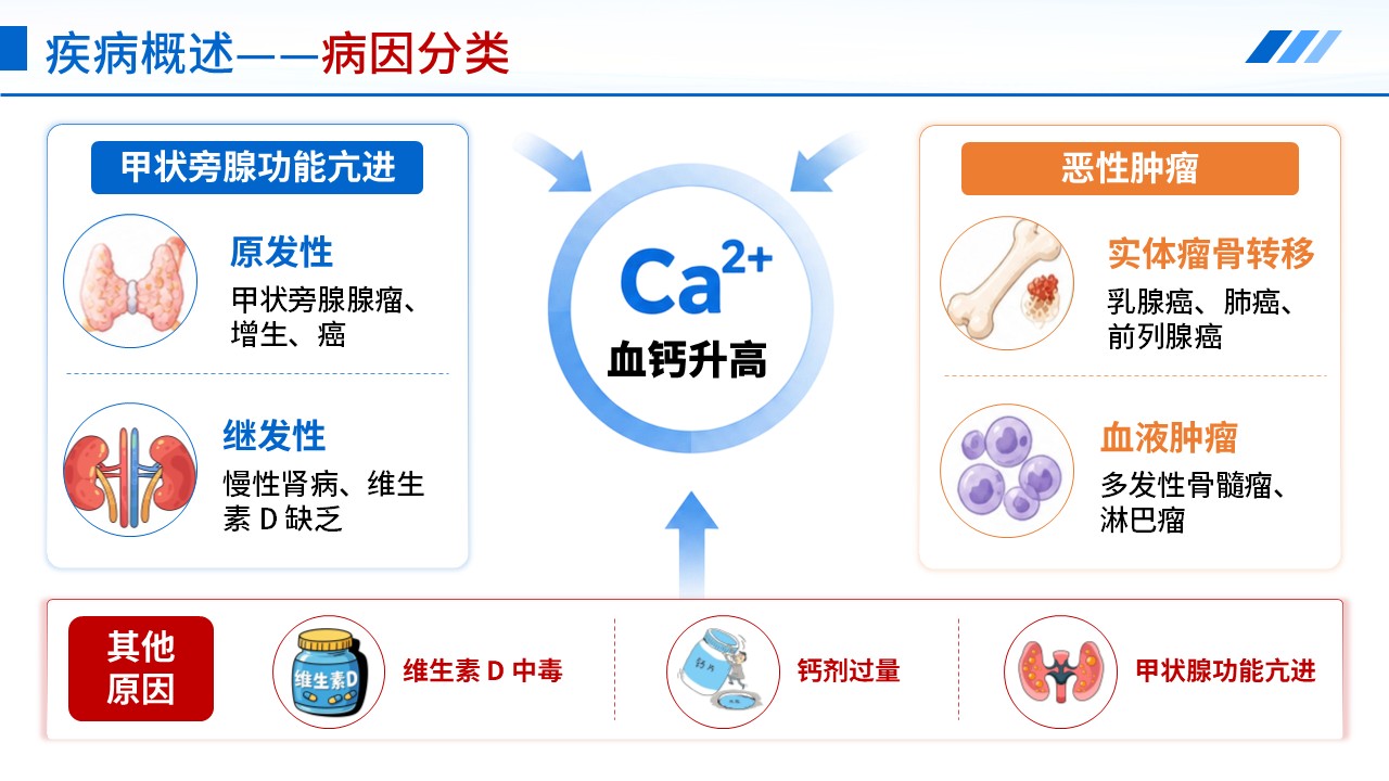 409期-护理说课-骨骼溢出的粘合剂高钙血症患者护理第9页预览