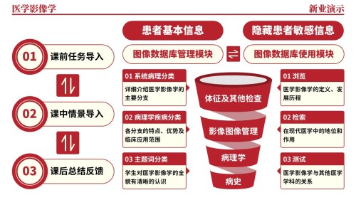 36-2《医学影像学架构图》(红色)