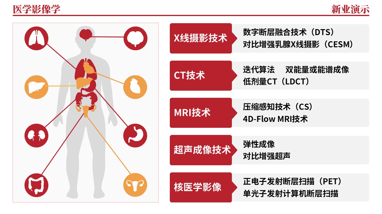 36-2《医学影像学架构图》（红色）第4页预览图