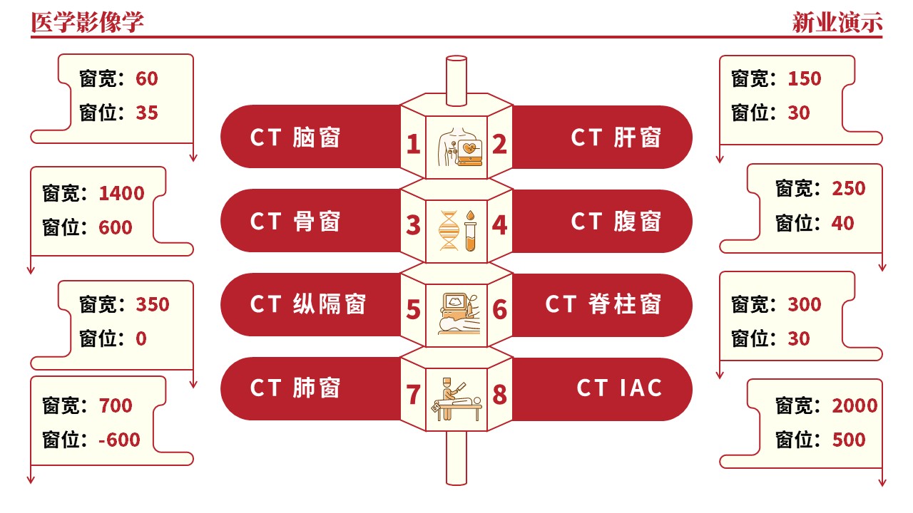 36-2《医学影像学架构图》（红色）第7页预览图