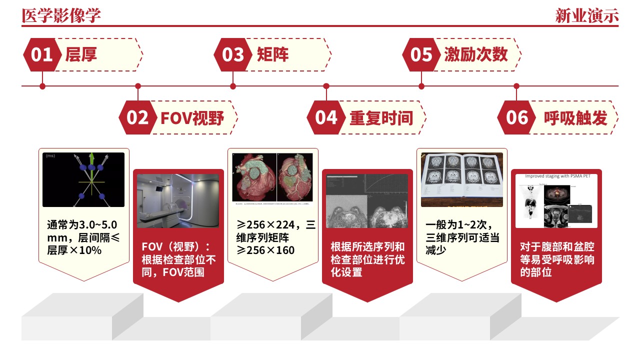 36-2《医学影像学架构图》（红色）第8页预览图