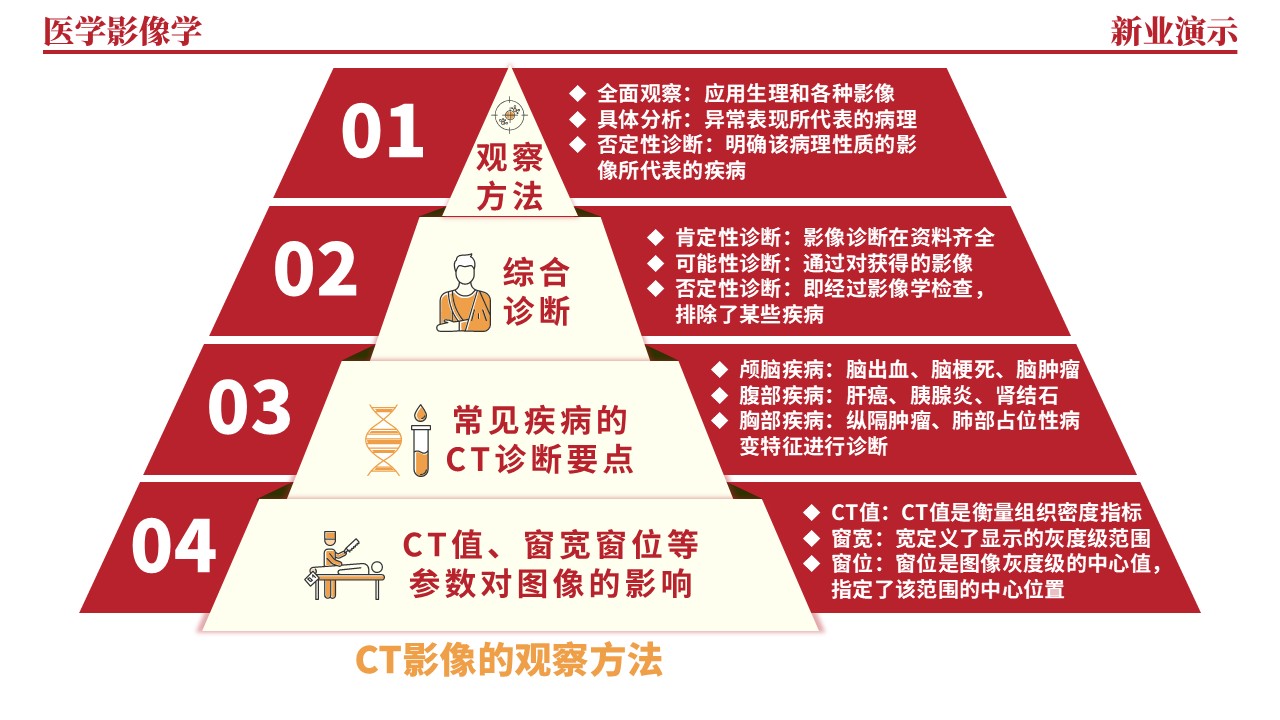 36-2《医学影像学架构图》（红色）第9页预览图