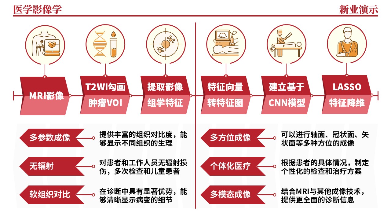 36-2《医学影像学架构图》（红色）第11页预览图