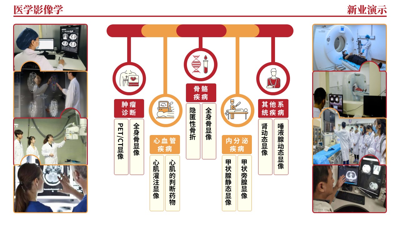 36-2《医学影像学架构图》（红色）第12页预览图