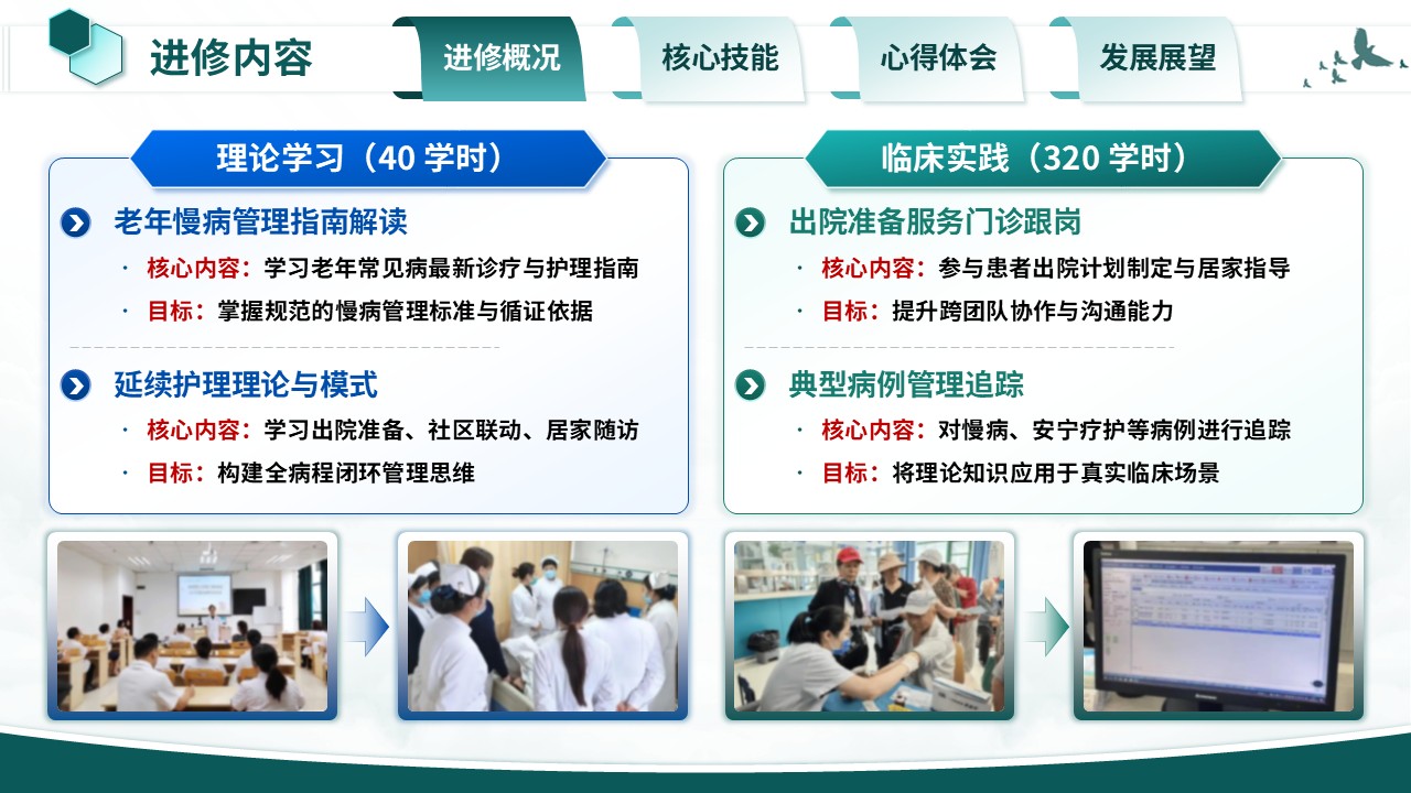 372期-护士进修汇报-老年慢病延续性护理模式学习第4页预览