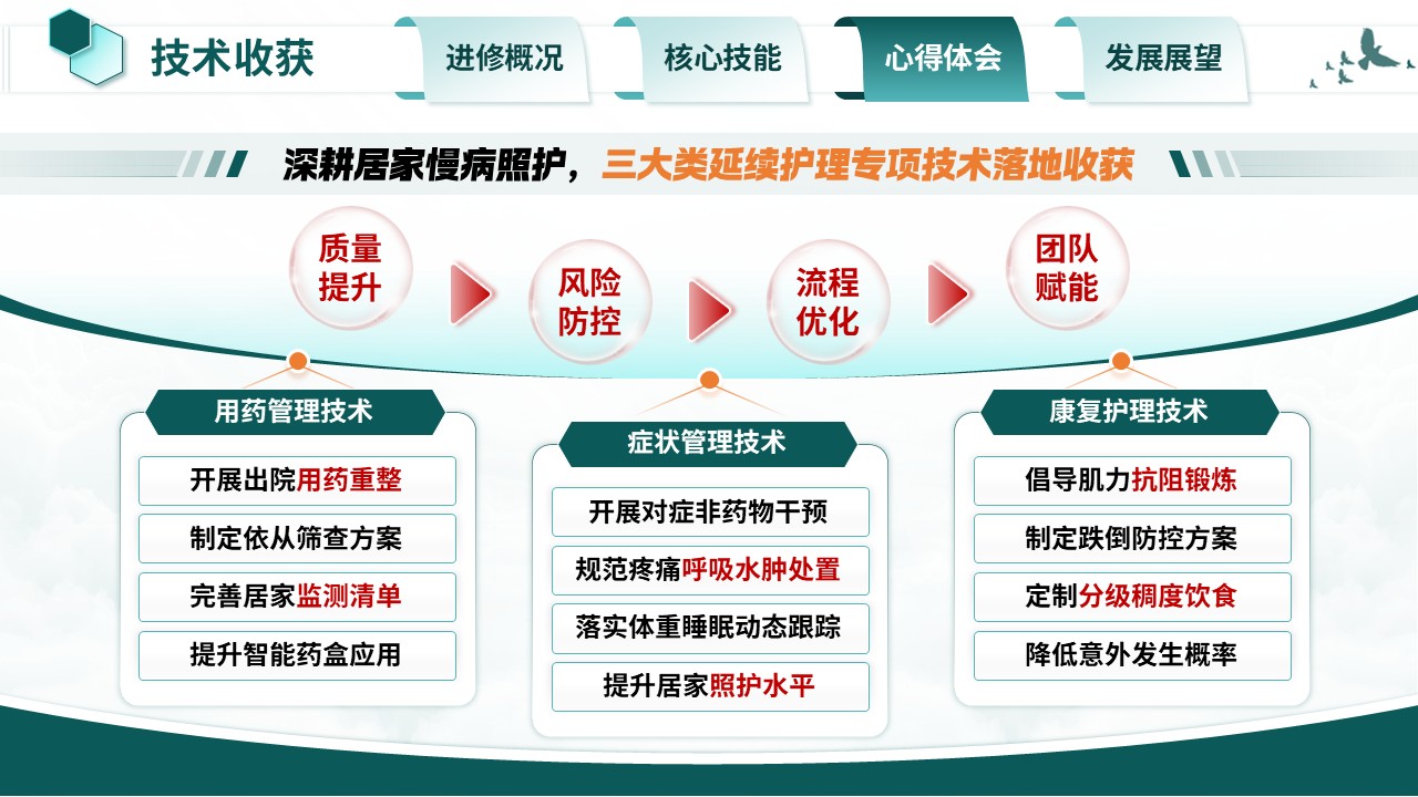 372期-护士进修汇报-老年慢病延续性护理模式学习第12页预览