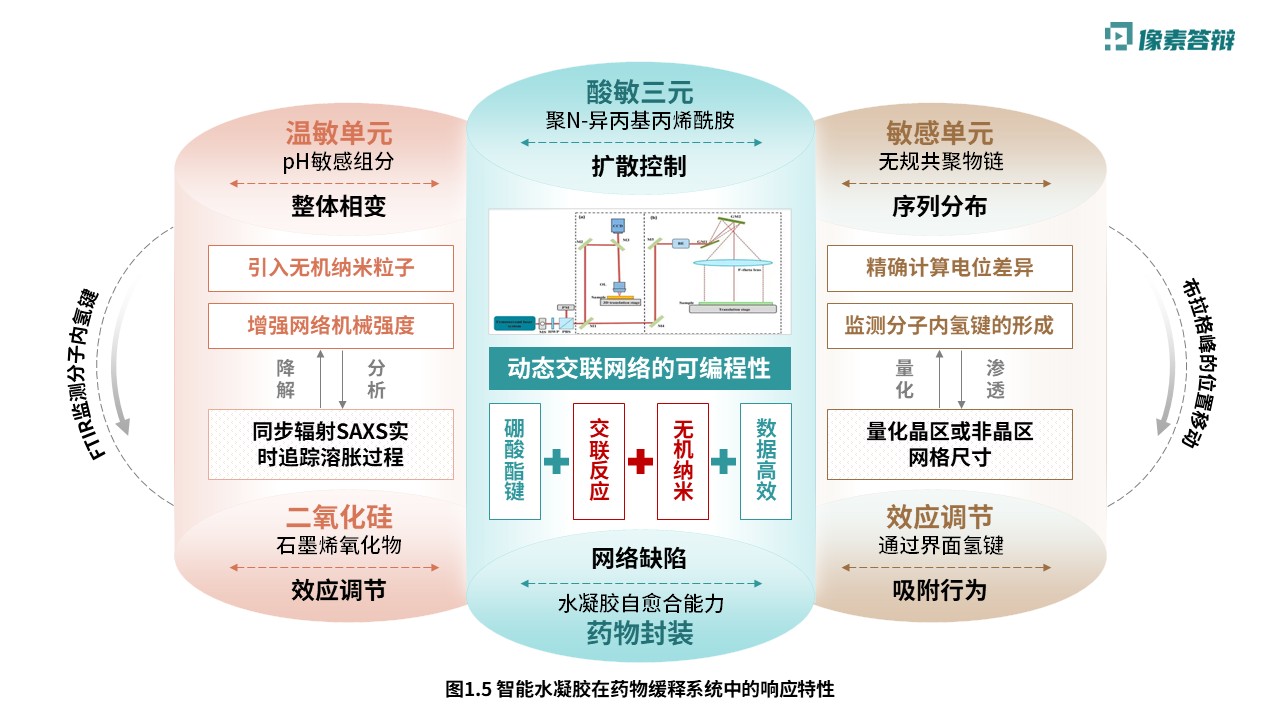 科研绘图（智能水凝胶-绿色）第5页预览图
