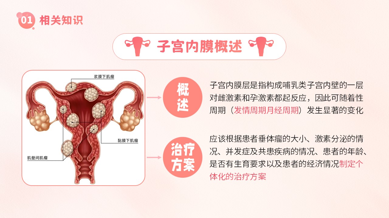 19-子宫内膜护理第4页预览