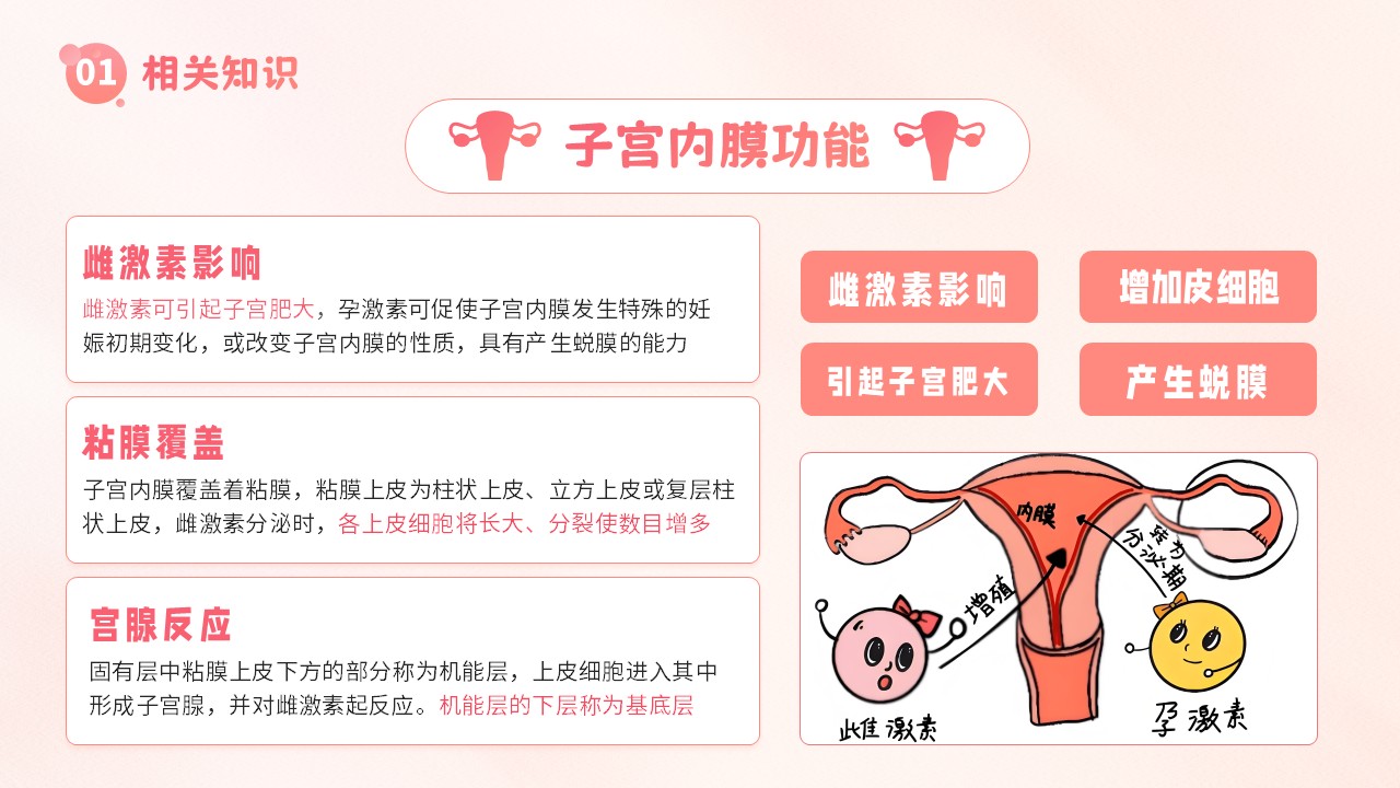 19-子宫内膜护理第5页预览