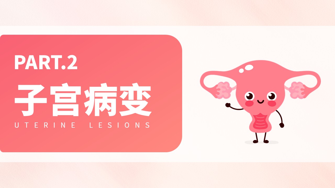 19-子宫内膜护理第6页预览