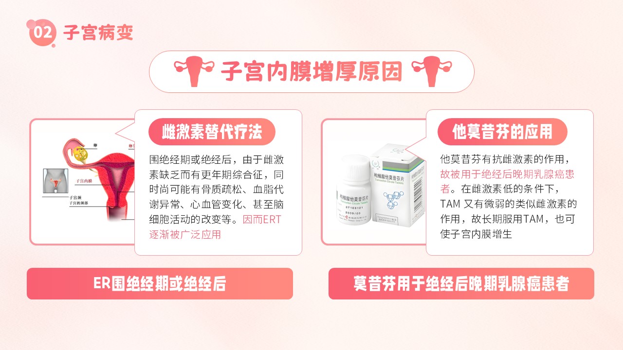 19-子宫内膜护理第12页预览