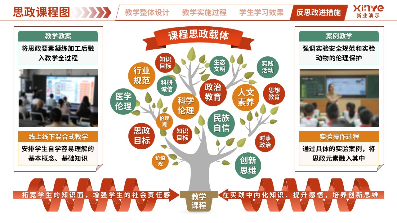 思政课程图（生命科学-红绿黄）第5页预览图
