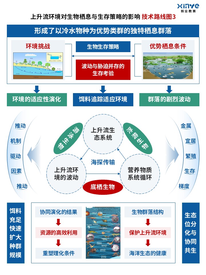 88-2技术路线图(上升流生态-蓝绿)第3页预览图