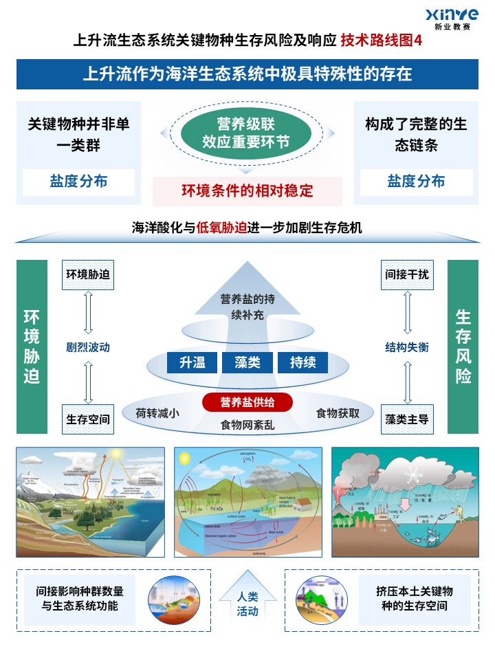 88-2技术路线图(上升流生态-蓝绿)第4页预览图