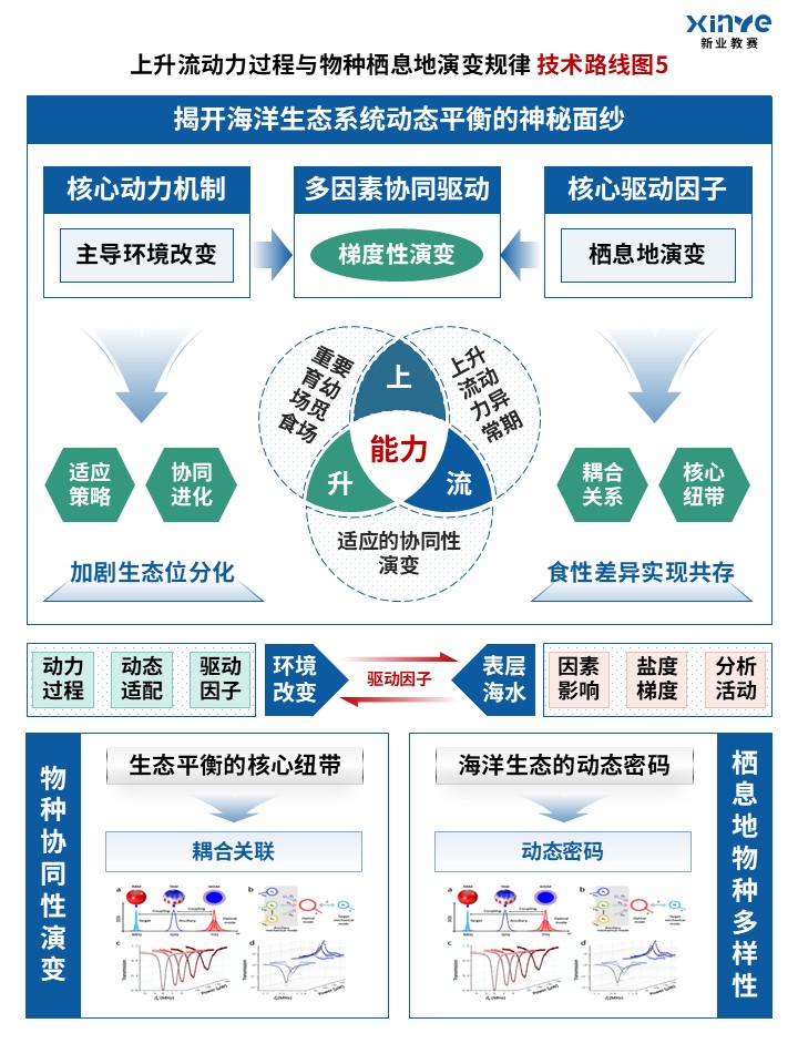 88-2技术路线图(上升流生态-蓝绿)第5页预览图
