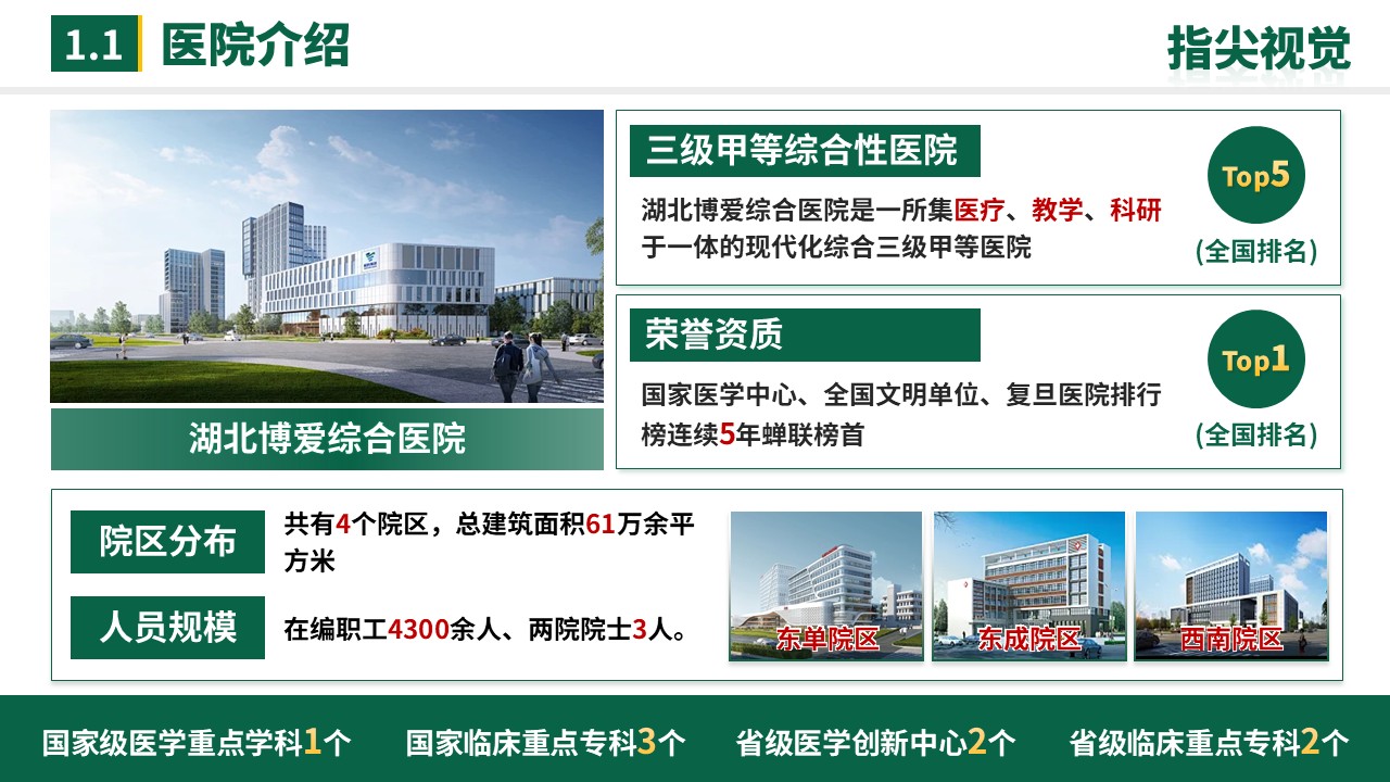 058期-湖北省省级重点工作汇报(绿色)第3页预览