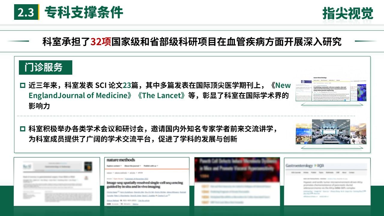 058期-湖北省省级重点工作汇报(绿色)第6页预览