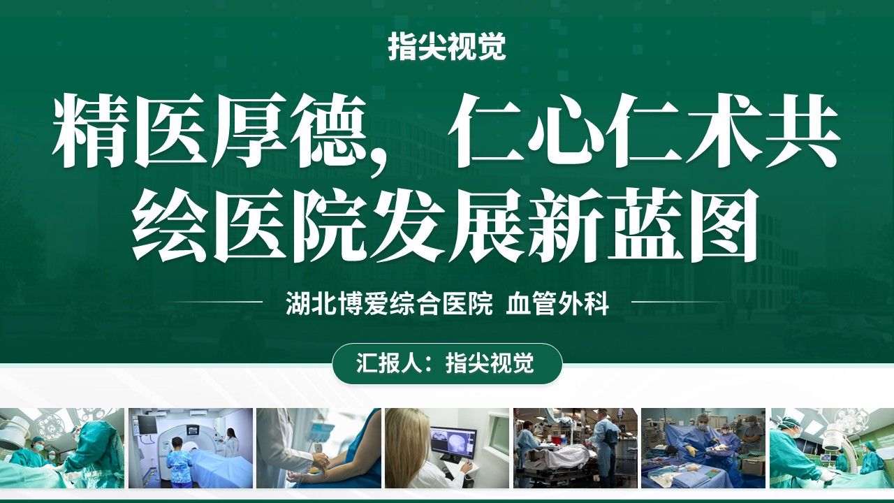 058期-湖北省省级重点工作汇报(绿色)第12页预览