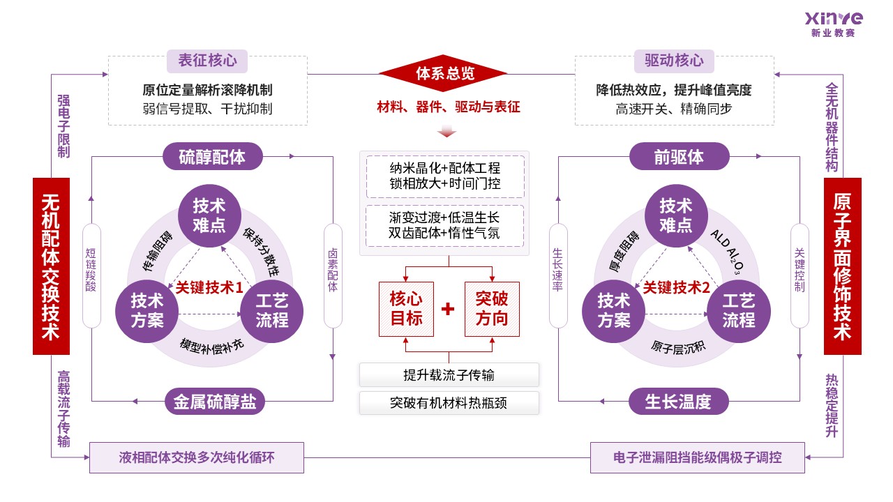 55-2科研架构图（量子发光-紫色)第6页预览图