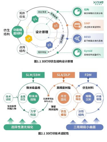 32-2科研架构图(基于3D打印的仿生结构轻量化设计-绿橙蓝)