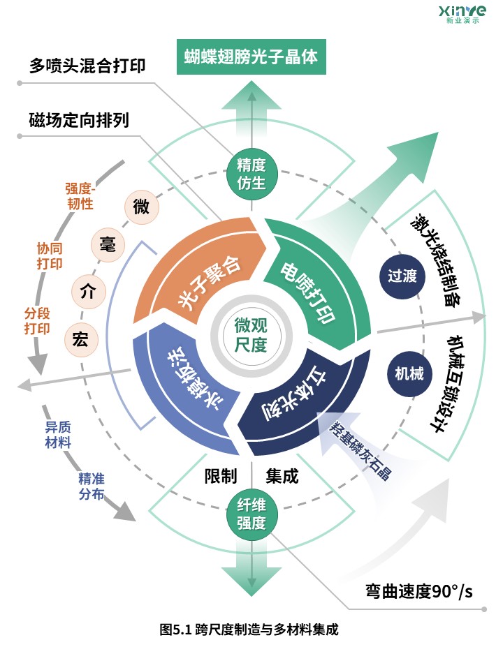 32-2科研架构图（基于3D打印的仿生结构轻量化设计-绿橙蓝）第3页预览图