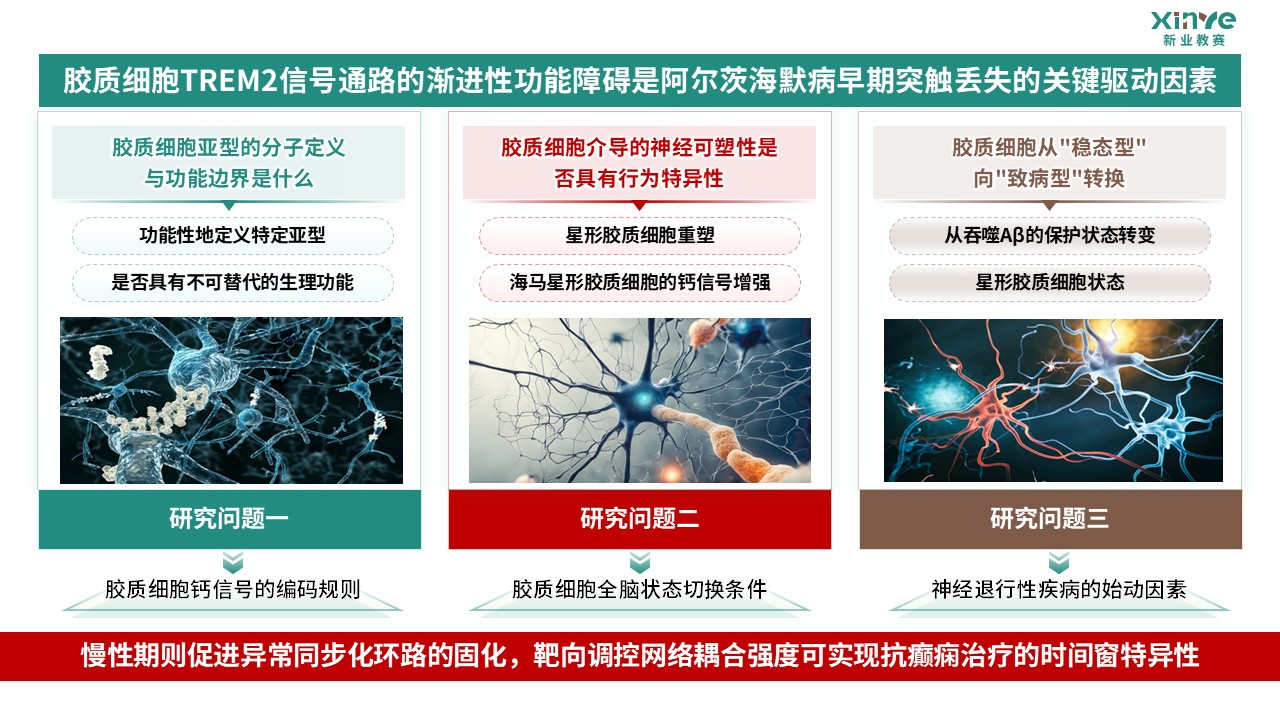 64-2科研绘图（胶质细胞-绿棕）