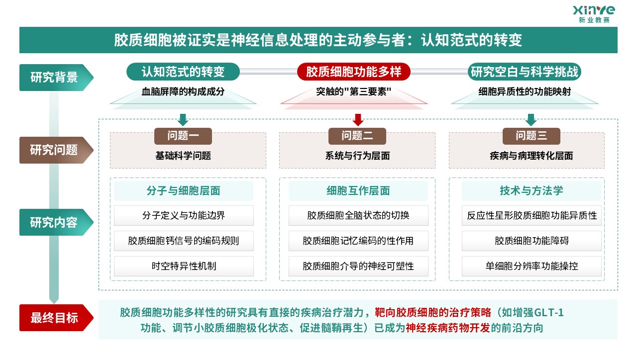 64-2科研绘图（胶质细胞-绿棕）第2页预览图