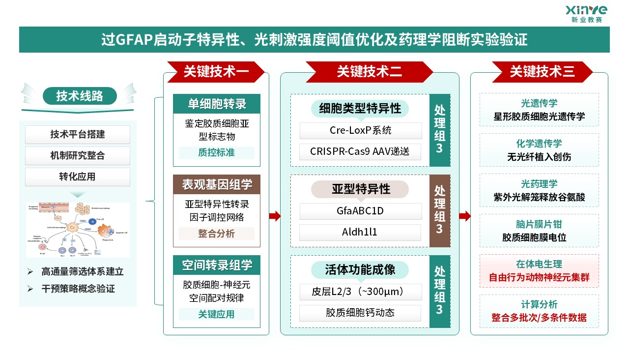 64-2科研绘图（胶质细胞-绿棕）第4页预览图