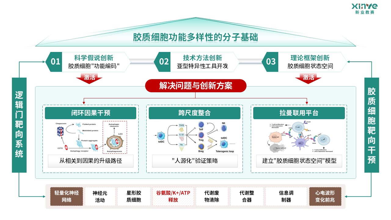 64-2科研绘图（胶质细胞-绿棕）第5页预览图