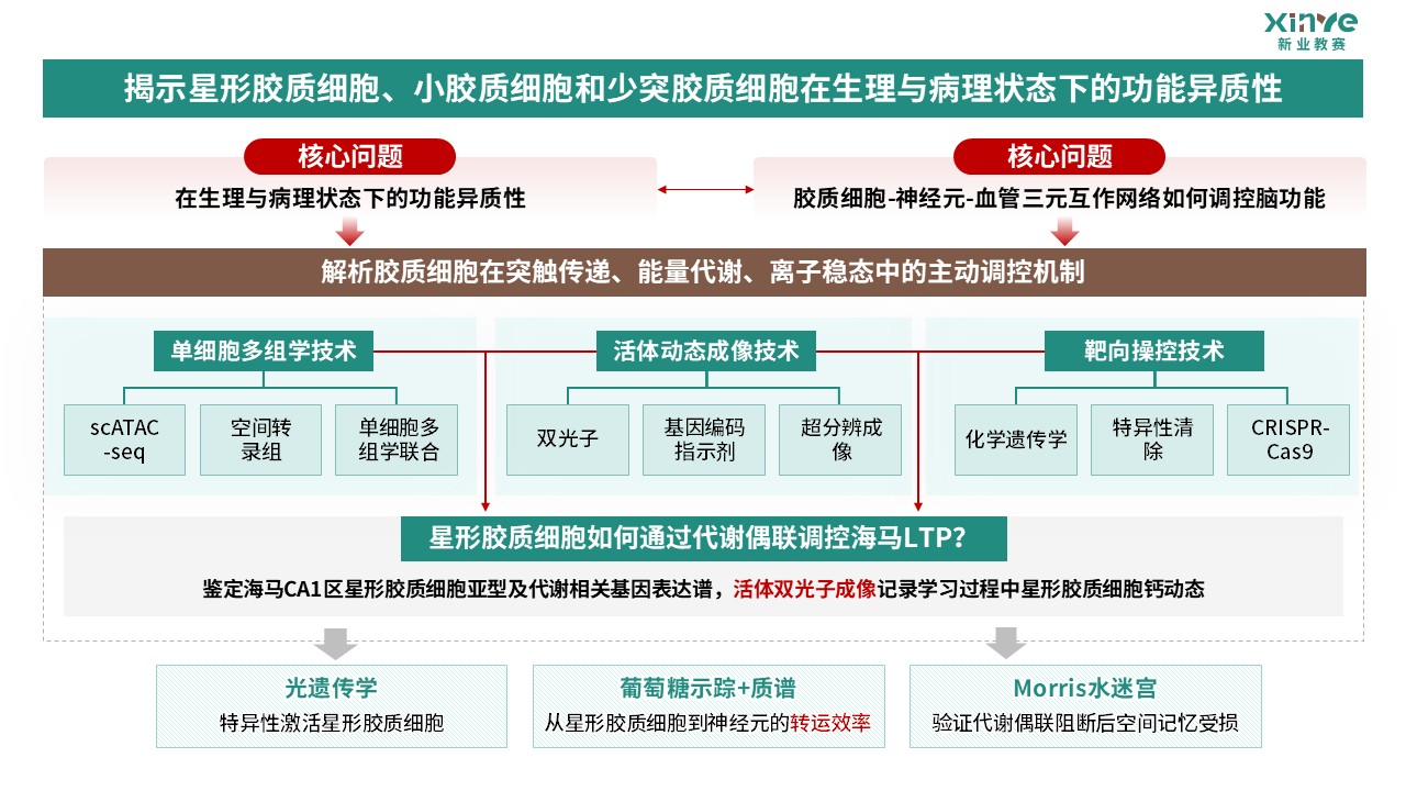 64-2科研绘图（胶质细胞-绿棕）第6页预览图