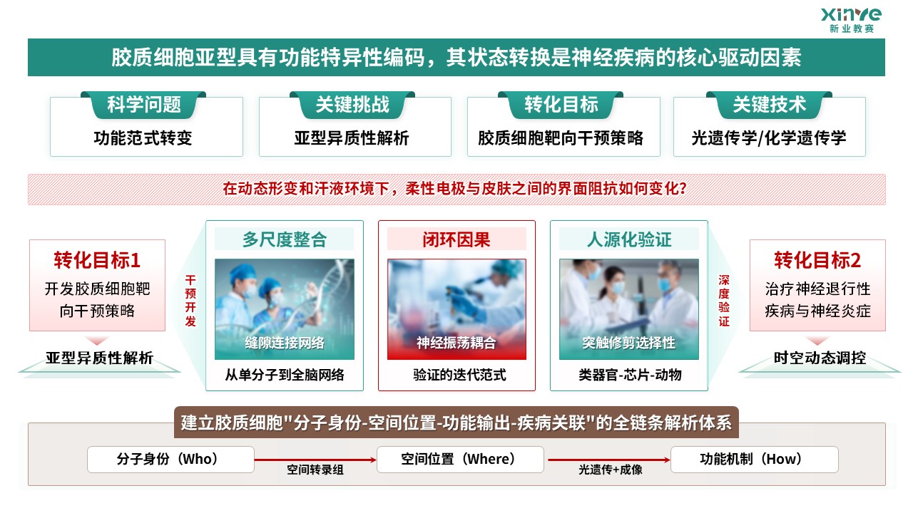 64-2科研绘图（胶质细胞-绿棕）第8页预览图