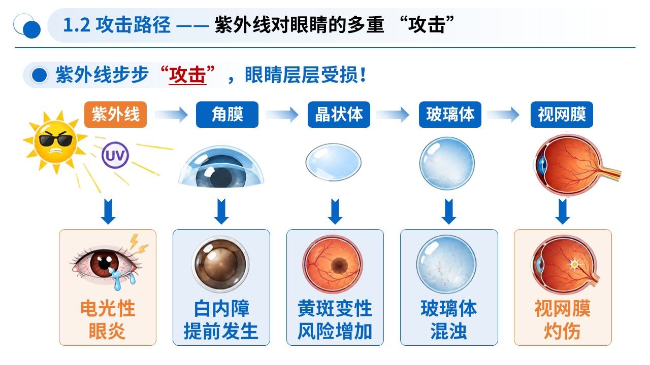 99-科普宣教—高温紫外线护眼科普第5页预览