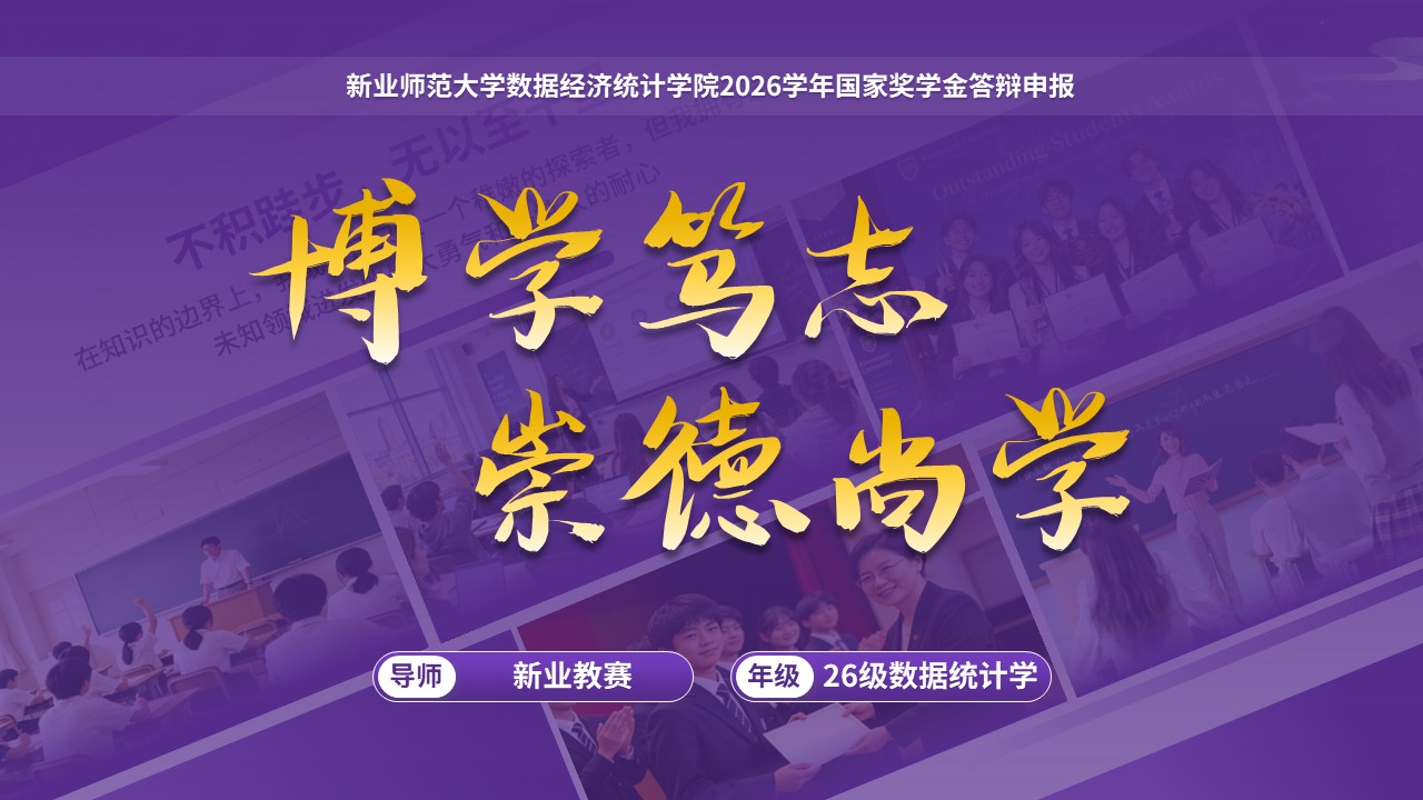 国家奖学金（大数据统计-紫色）第15页预览图