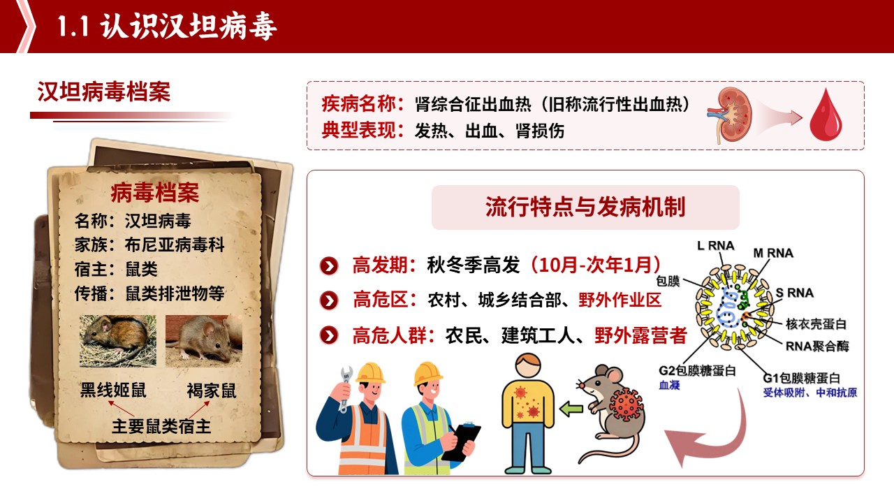 93-守住鼠来的危机汉坦病毒防控护理第5页预览