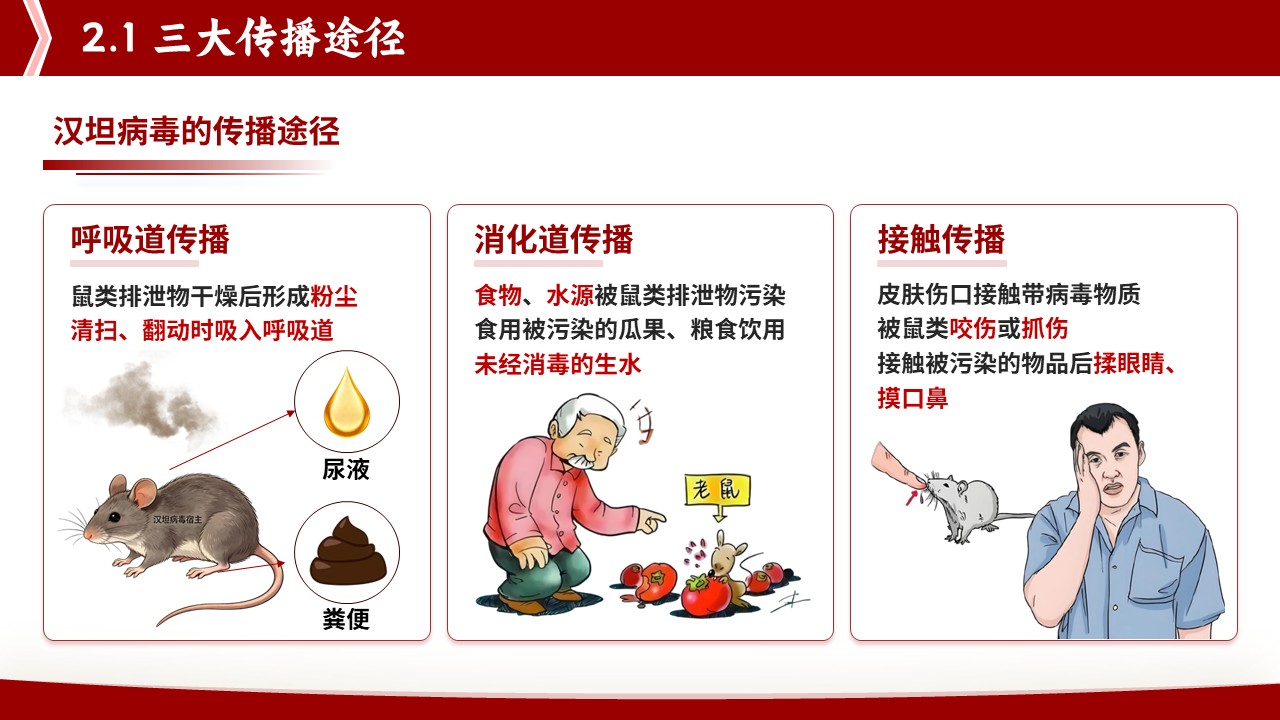 93-守住鼠来的危机汉坦病毒防控护理第7页预览
