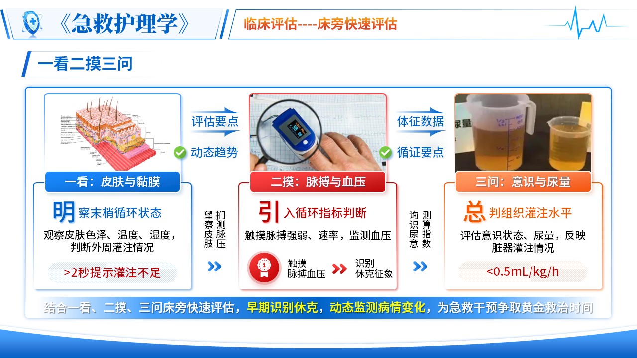 472期-青教赛-《休克急救护理》青教赛第8页预览