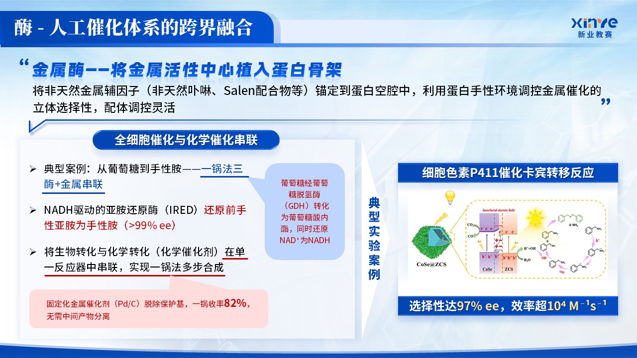 《化学反应速率》青教赛第7页预览图
