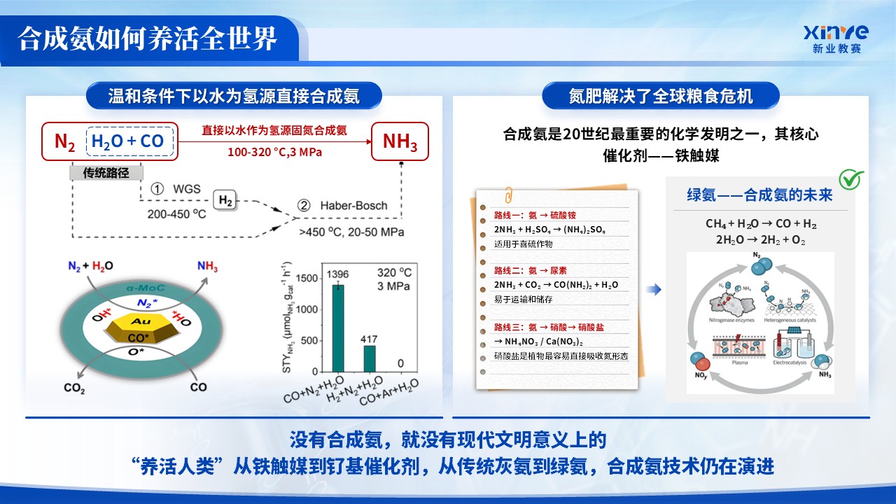 《化学反应速率》青教赛第9页预览图