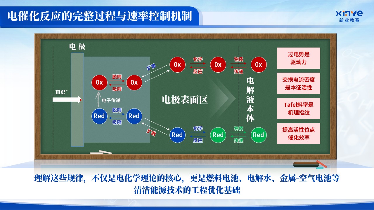 《化学反应速率》青教赛第10页预览图