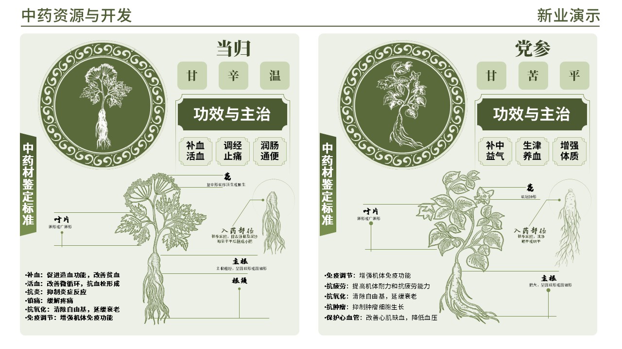 48-1 《中药材学架构图》(绿色)第3页预览图
