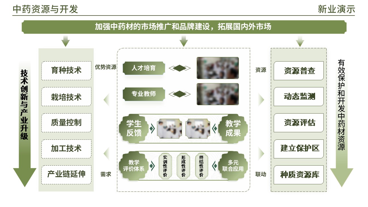 48-1 《中药材学架构图》(绿色)第11页预览图
