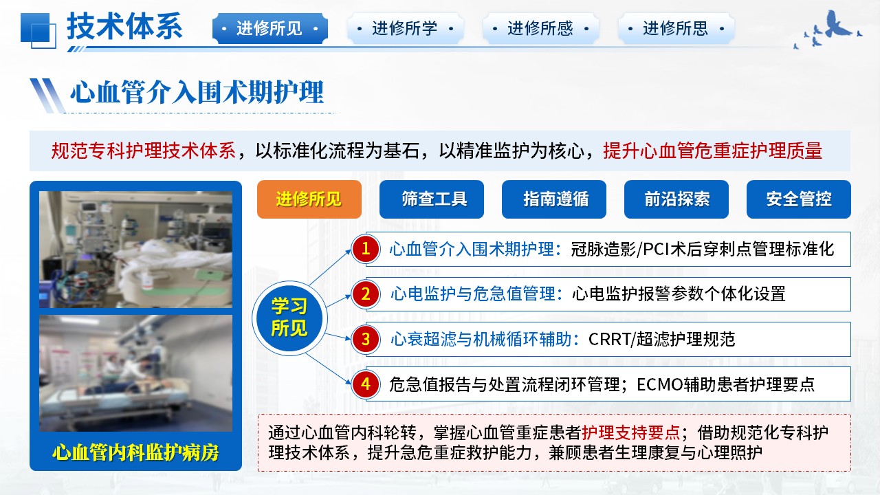 494期-进修汇报-2026年心血管内科护士进修汇报第6页预览