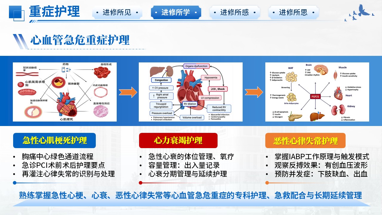 494期-进修汇报-2026年心血管内科护士进修汇报第8页预览