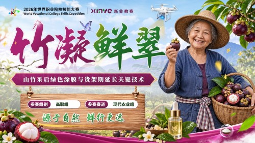 《竹凝鲜翠》世界技能大赛