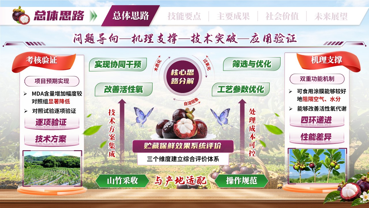 《竹凝鲜翠》世界技能大赛第5页预览图