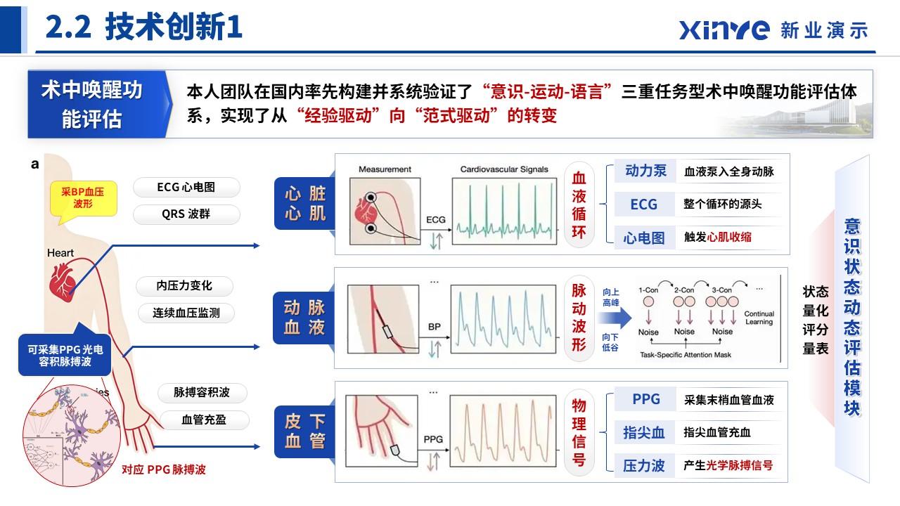 正高职称答辩（多模态神经—蓝色）第8页预览图