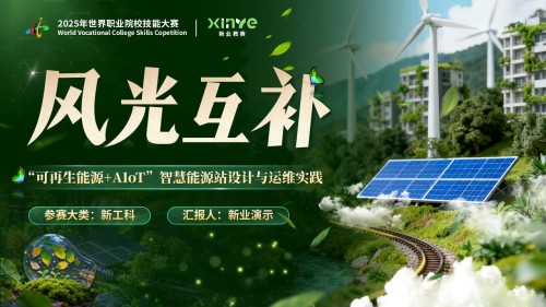 《风光互补可再生能源》世界技能大赛