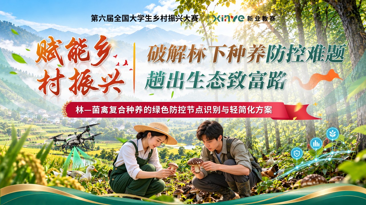 《赋能乡村振兴》第六届全国大学生乡村振兴大赛第1页预览图